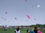 第三届中国廊坊·第什里风筝节隆重开幕 - 体育局