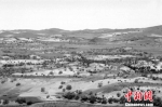 1962年前后塞罕坝林场建场之初照片。 资料图 - 中国新闻社河北分社