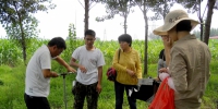 李玉灵教授荣获第一批全国林业教学名师荣誉称号 - 河北农业大学