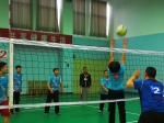 河北省粮食局气排球队在省直比赛中取得好成绩 - 粮食局