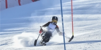 全国残疾人高山滑雪和单板滑雪锦标赛落幕 河北选手获21金 - Hebnews.Cn