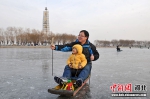 白洋淀变身“滑冰场” - 中国新闻社河北分社