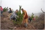 邢台市佛教界连续5年开展“植树放生、绿化太行”活动 - 民族宗教事务厅