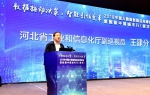 我厅领导参加“2018中国大数据智能应用峰会暨数据中国城市行（廊坊站）活动” - 工业和信息化厅