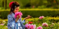 一宫装少女在牡丹花丛中赏花。　张鹏翔 摄 - 中国新闻社河北分社