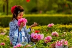 一宫装少女在牡丹花丛中赏花。　张鹏翔 摄 - 中国新闻社河北分社