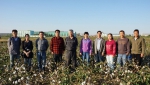 我校马峙英教授团队在棉花基因组研究方面取得重大进展 - 河北农业大学