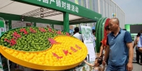 保定定兴县的有机蔬菜引采购商驻足。　赵庆斌 摄 - 中国新闻社河北分社