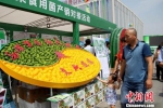 保定定兴县的有机蔬菜引采购商驻足。　赵庆斌 摄 - 中国新闻社河北分社