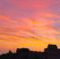 8月14日傍晚，金山岭长城上空霞光万丈，云蒸霞蔚，姹紫嫣红。古老的烽火台上空，变幻莫测，千姿百态，宛如一幅幅美丽的画卷，美醉游人。周万平 摄 - 中国新闻社河北分社