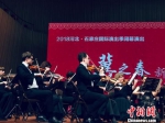 西伯利亚交响乐团是俄罗斯最杰出的交响乐团之一。　主办方供图 摄 - 中国新闻社河北分社