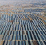 这是乐亭县古河乡的设施蔬菜种植基地(1月29日无人机拍摄)。 - 中国新闻社河北分社