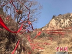 图为磨子沟村的后山遍野的红绸子。　张帆 摄 - 中国新闻社河北分社