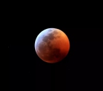这是1月20日在美国洛杉矶拍摄的“超级红月亮”。 - 中国新闻社河北分社