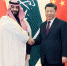 习近平会见沙特阿拉伯王国王储穆罕默德 - 国土资源厅