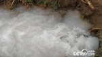 3月20日，闵镇村村民浇麦时井内流出的“牛奶水”。 - 中国新闻社河北分社