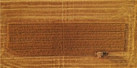 6月13日，雄安新区大王镇小王村村民在收获小麦(无人机拍摄)。 - 中国新闻社河北分社