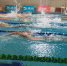 2019年河北青少年游泳冠军赛比赛现场。 记者杨明静摄 - 中国新闻社河北分社