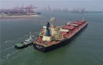 6月17日，一艘货轮在拖轮的协助下向唐山港京唐港区散货码头靠泊。 - 中国新闻社河北分社