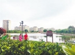 近日，在衡水市怡水公园内，市民在水清岸绿的优美环境中晨练。 记者 焦磊摄 - 中国新闻社河北分社