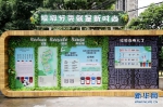垃圾分类“硬约束”首周，上海开出199张罚单 - 河北新闻门户网站