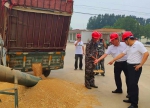 杨洲群局长赴邢台调研督导小麦收购工作 - 粮食和物资储备局