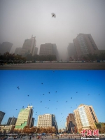 资料图为王汝春拍过的照片对比。（拼版图片）中新社发 王汝春 摄 - 中国新闻社河北分社