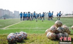 河北唐山入选全国社会足球场地设施建设重点推进城市名单 - 中国新闻社河北分社