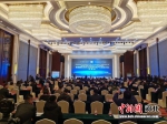 首届国际(衡水)玄武岩纤维产业推进大会开幕式现场。 王鹏 摄 - 中国新闻社河北分社