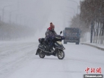 吉林省16日迎来新一轮强降雪强降温天气 刘栋 摄 - 中国新闻社河北分社
