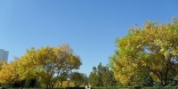 资料图：河北现蓝天，老人们在公园里悠闲地享受着好天气。　刘明怡 摄 - 中国新闻社河北分社