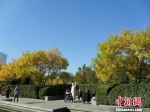资料图：河北现蓝天，老人们在公园里悠闲地享受着好天气。　刘明怡 摄 - 中国新闻社河北分社