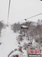 图为雪中的崇礼云顶滑雪场。　陈莉娜 摄 - 中国新闻社河北分社