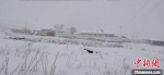 雪中的坝上农村。　李新兴 摄 - 中国新闻社河北分社