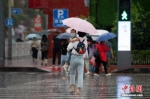 资料图：市民冒雨出行。 中新社记者 韦亮 摄 - 中国新闻社河北分社