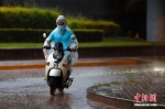 资料图：市民在雨中骑行。 中新社记者 富田 摄 - 中国新闻社河北分社