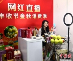网红直播推介农产品。 俱凝搏 摄 - 中国新闻社河北分社
