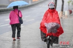 资料图：市民在雨中出行。中新社记者 陈骥旻 摄 - 中国新闻社河北分社