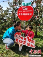 一对母女在品尝认领的苹果。　宿雅男 摄 - 中国新闻社河北分社
