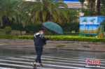 资料图：市民冒雨出行。中新社记者 骆云飞 摄 - 中国新闻社河北分社