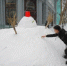 资料图：11月19日，黑龙江省哈尔滨市迎来大暴雪天气。图为中央大街上的雪人吸引游客。 中新社记者 吕品 摄 - 中国新闻社河北分社