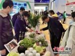 第十八届中国国际农产品交易会在重庆市开幕，巨鹿县富硒农产品亮相展区，现场吸引众多客商驻足咨询、洽谈、购买。 马羚 摄 - 中国新闻社河北分社
