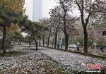 河北多地迎来雨雪天气 - 中国新闻社河北分社