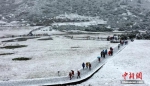 资料图：四川甘孜州稻城亚丁景区雪花飘舞。 钟欣 摄 - 中国新闻社河北分社