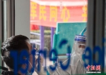 白求恩医疗队活跃在石家庄第二轮全民核酸检测一线 - 中国新闻社河北分社