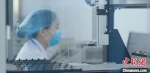 科研人员正在进行抗体芯片制备。　河北博海生物工程开发有限公司供图 - 中国新闻社河北分社
