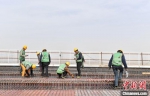 在安大线（新区段）公路工程项目施工现场，上百名工人正在紧张施工。　韩冰　摄 - 中国新闻社河北分社