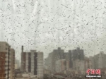 资料图：4月15日，北京迎来沙尘天气，大部分地区有雷电活动，沙尘伴着雨水，形成“泥雨”。图片来源：视觉中国 - 中国新闻社河北分社