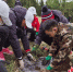 塞罕坝技术人员指导集训队运动员正确栽种树苗。 张桂芹 摄 - 中国新闻社河北分社