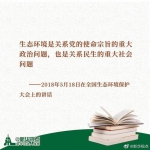 2021年世界环境日中国主题：人与自然和谐共生 - 统计局
